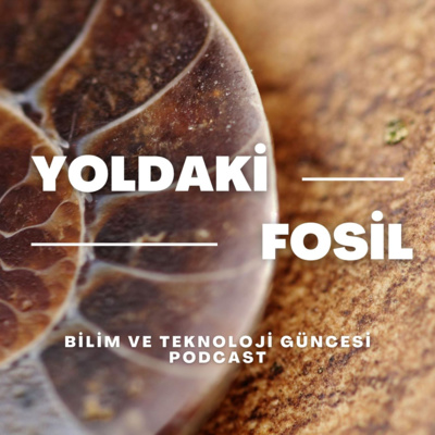 Yoldaki Fosil