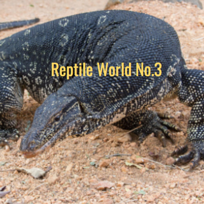 Reptile World