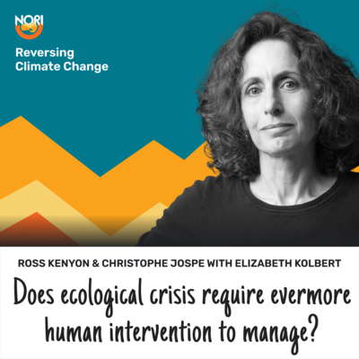 Currently playing episode