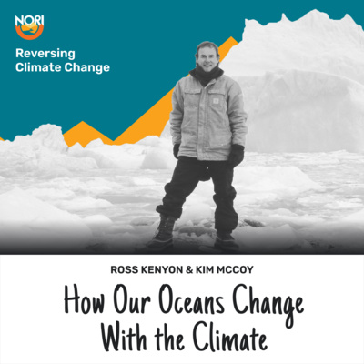 Currently playing episode