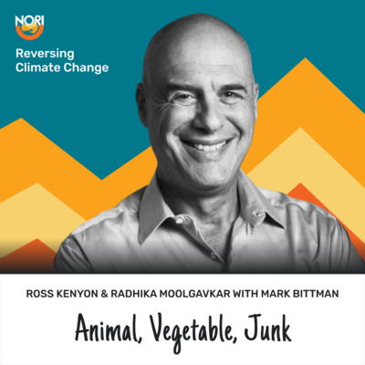 Currently playing episode