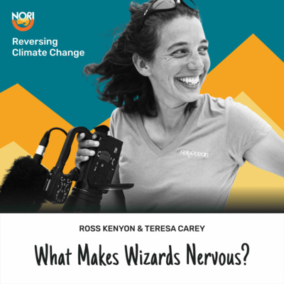 Currently playing episode