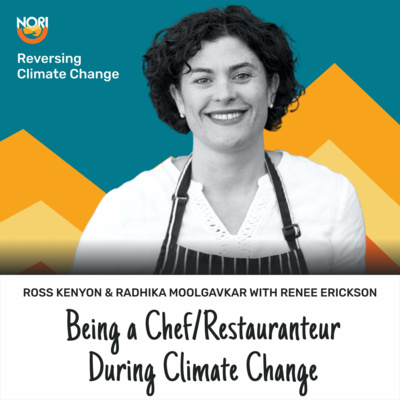 Currently playing episode