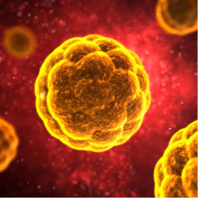 Our Thoughts on Coronavirus and the Markets