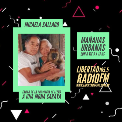 Micaela Sallago - Secuestran mona carayá en Carhue episode artwork