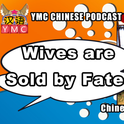YMC Learn Chinese