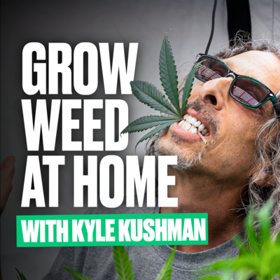 Cultivars with Character Special: Interview with the Legendary Kyle Kushman