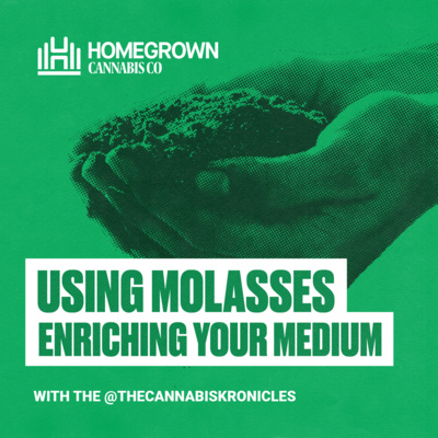 Using Molasses with Cannabis and Other Ways To Enrich Your Soil/Medium
