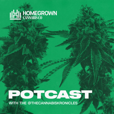 A Look at Skunk, Kush, and Haze Strains and How They Have Shaped Modern Cannabis Strains