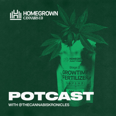 What Is The Ideal Cannabis Feeding Schedule?