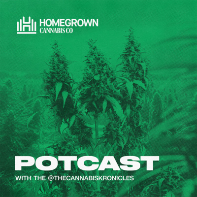 Low Season? What Low Season? - Growing Autoflowers Outdoors