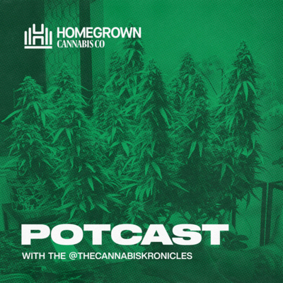 Highest Yielding Autoflowers