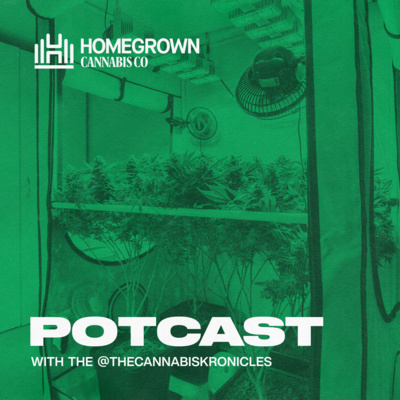 Do you Need Fancy Tools To Grow Weed at Home? Can You Get started With Just $500?