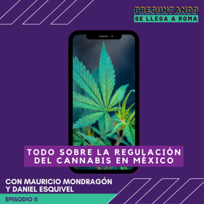 Todo sobre la regulación del cannabis en México / T1-E11