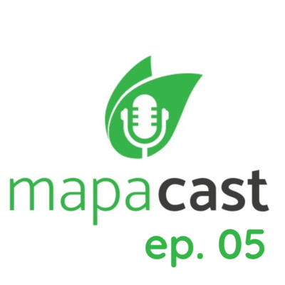 Episódio 5 – Cacau do Brasil