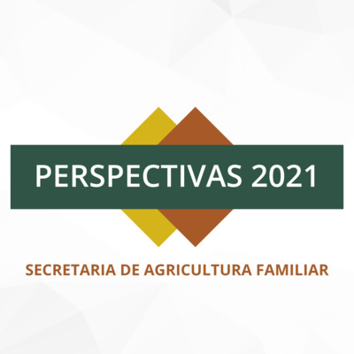 Secretário da Agricultura Familiar e Cooperativismo do Mapa, Fernando Schwanke, fala sobre os planos para 2021 no fortalecimento da agricultura familiar episode artwork