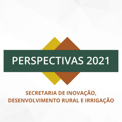 Ações nos programas Pronasolos e a ABC, em inovação e conectividade são alguns dos desafios da SIDR para 2021 episode artwork