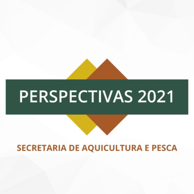 Secretário de Aquicultura e Pesca do Mapa fala dos desafios para 2021 episode artwork