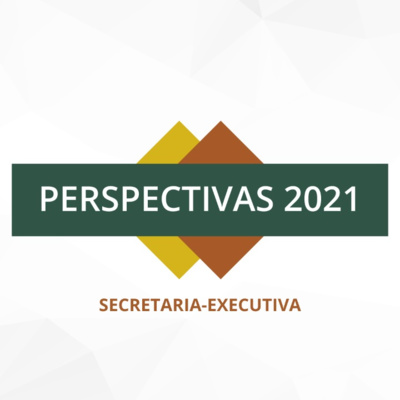 Secretária Executiva do Mapa fala sobre as metas para 2021 episode artwork
