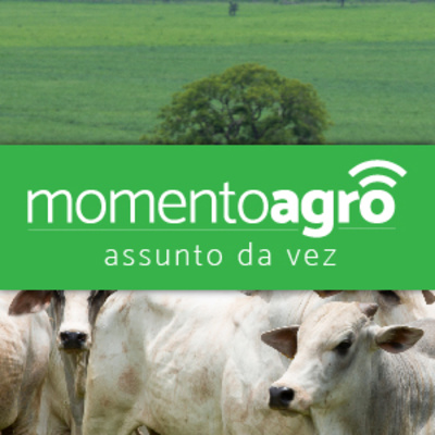 Prorrogado o prazo de vacinação contra a febre a aftosa em 14 estados episode artwork