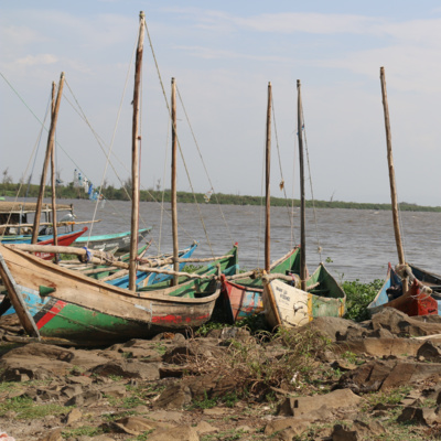 Currently playing episode