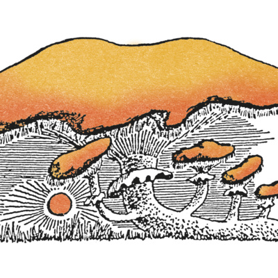 Doktór Grzyb (Maria Hawranek)