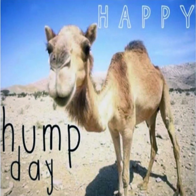 Hump day News