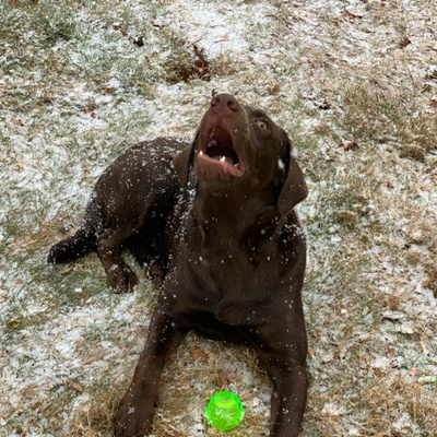 How are you coping with social distancing?