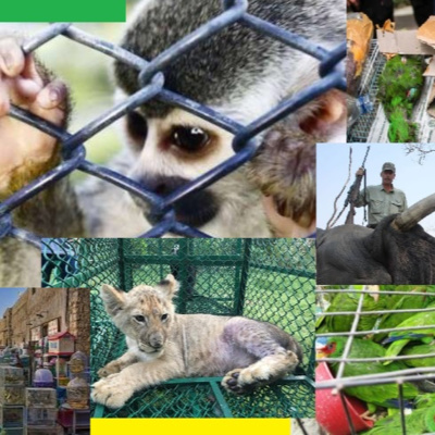 Identificación de los problemas ambientales y su relación con la ética