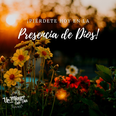 Un Milagro Cada Día