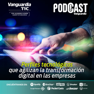 Perfiles tecnológicos que agilizan la transformación digital en las empresas episode artwork