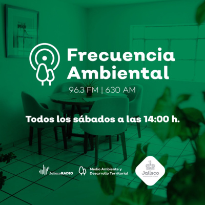 Episodio 26. Buenas prácticas para el ahorro de energía en casa