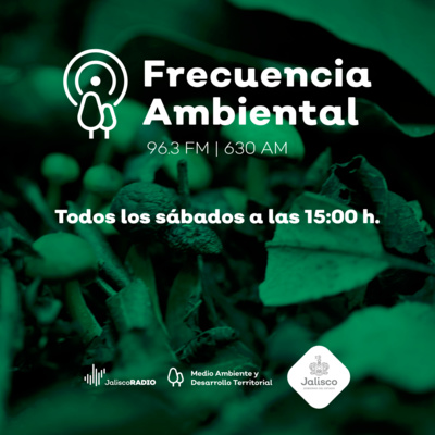 Frecuencia Ambiental