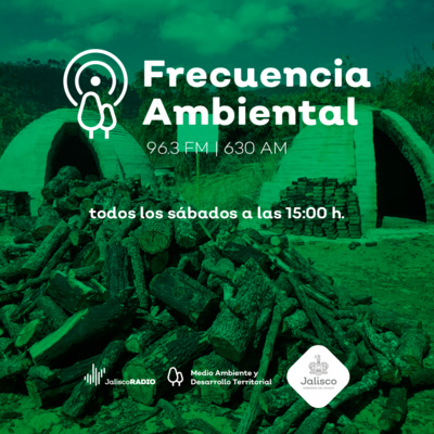 Frecuencia Ambiental
