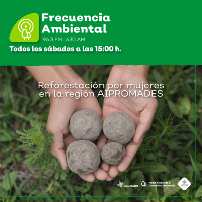 Frecuencia Ambiental