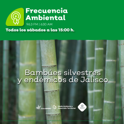 Frecuencia Ambiental