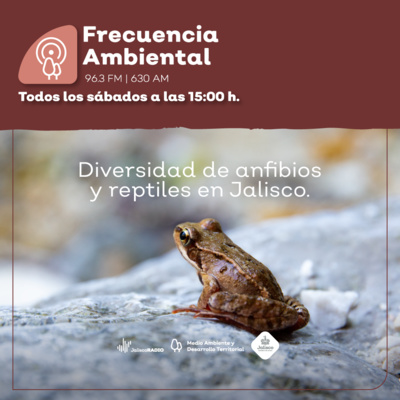 Frecuencia Ambiental