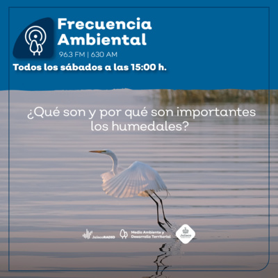 Episodio 93. ¿Por qué son importantes los humedales? Conservación y aprovechamiento sustentable