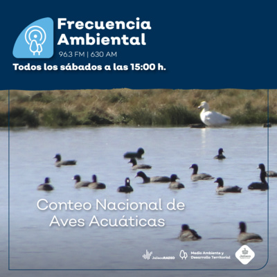 Frecuencia Ambiental