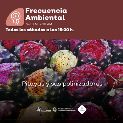 Frecuencia Ambiental