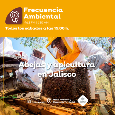 Frecuencia Ambiental