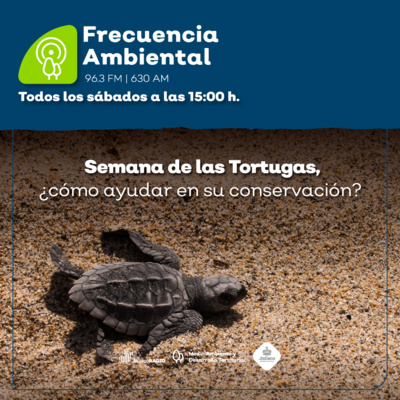 Frecuencia Ambiental