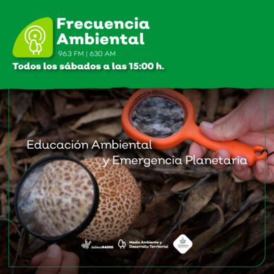 Frecuencia Ambiental