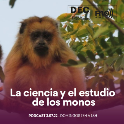 Desde el conocimiento