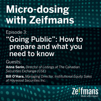 Episode 3: “Going Public”: How to prepare and what you need to know 