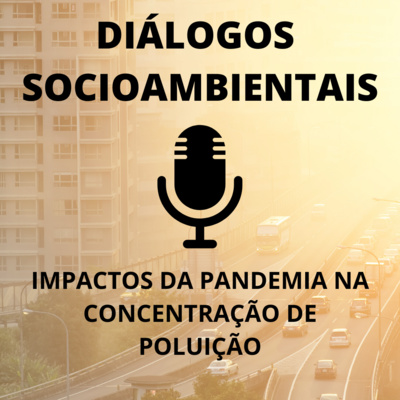 Impactos da pandemia na poluição