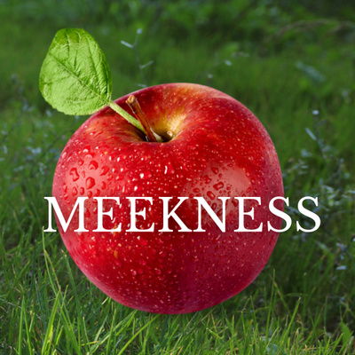 Fruit of the Spirit: Meekness