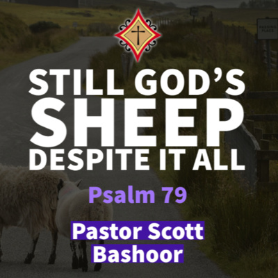 Still God’s Sheep Despite It All (Psalm 79) - Pastor Scott Bashoor