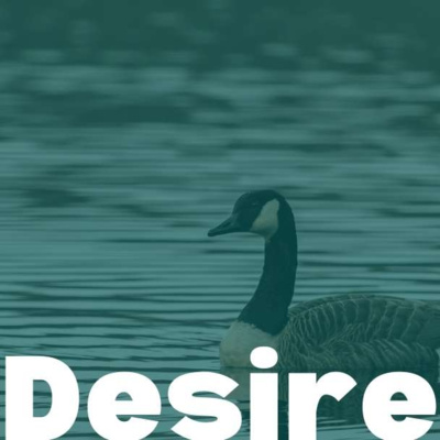 Fleeting Desires: Episode 477
