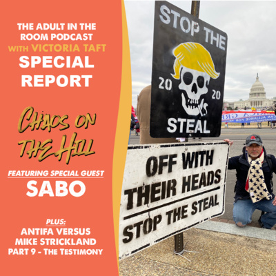 SPECIAL REPORT: Chaos on the Hill - Featuring SABO + ANTIFA Versus Mike Strickland, Part 9: The Testimony